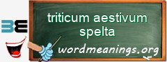 WordMeaning blackboard for triticum aestivum spelta